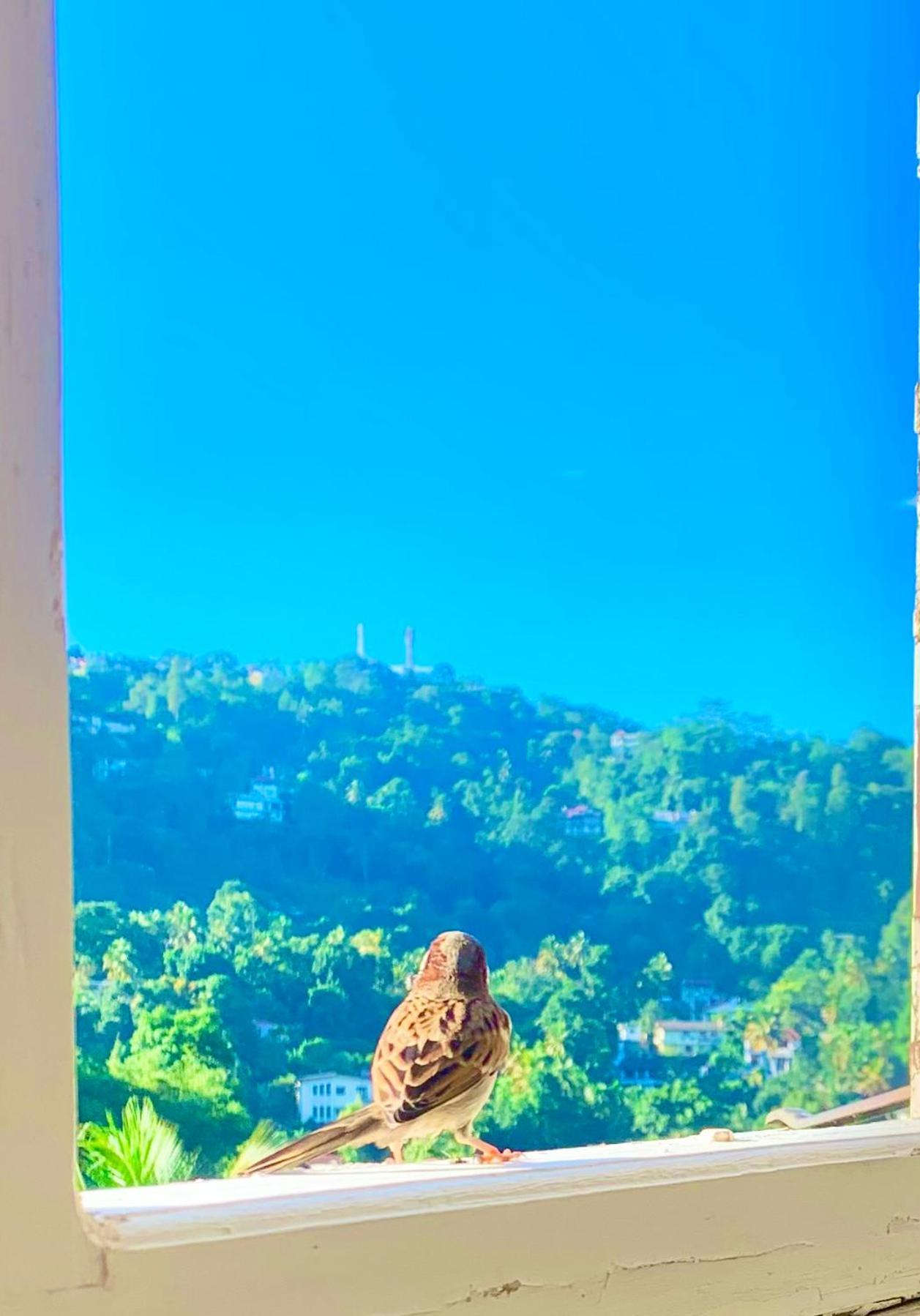 Gangula Villa كاندي المظهر الخارجي الصورة